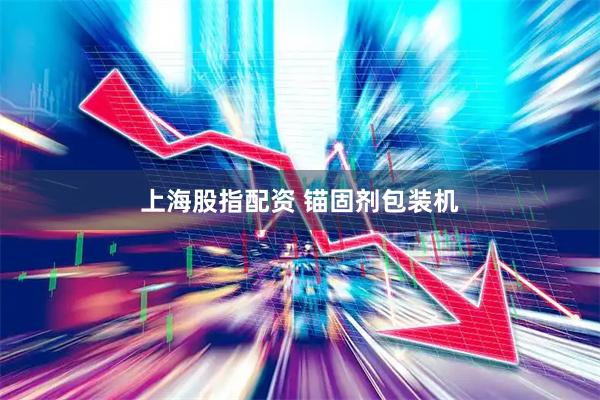 上海股指配资 锚固剂包装机