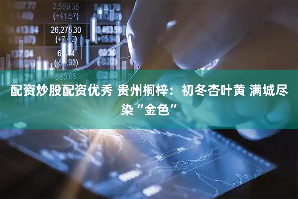 配资炒股配资优秀 贵州桐梓：初冬杏叶黄 满城尽染“金色”