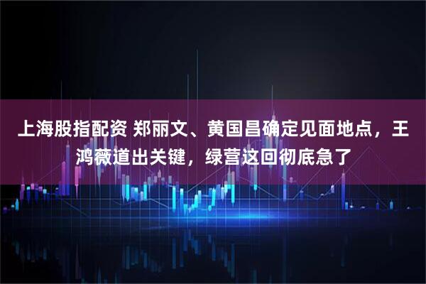 上海股指配资 郑丽文、黄国昌确定见面地点，王鸿薇道出关键，绿营这回彻底急了