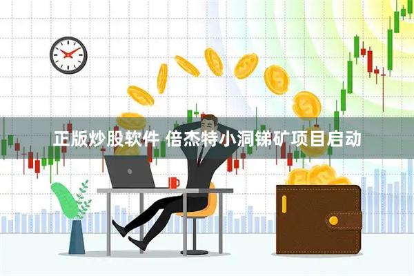 正版炒股软件 倍杰特小洞锑矿项目启动
