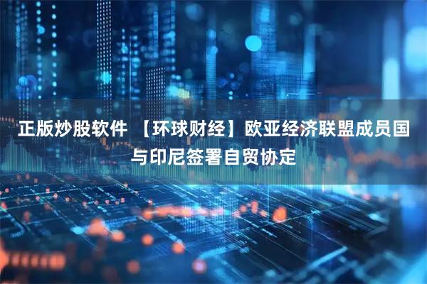 正版炒股软件 【环球财经】欧亚经济联盟成员国与印尼签署自贸协定